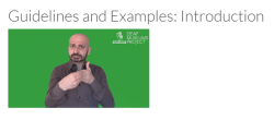 Interviews: Guidelines and Examples Output
